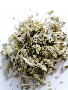 feuilles de sauge Le Monopati n 1