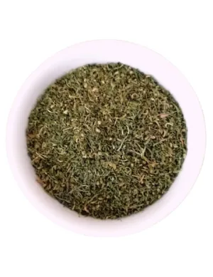 Armoise Annuelle Artemisia Annua Acheter n°1