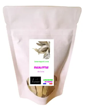 Feuilles Eucalyptus Le Monopati n°1