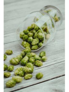 houblon premium le monopati 4 France