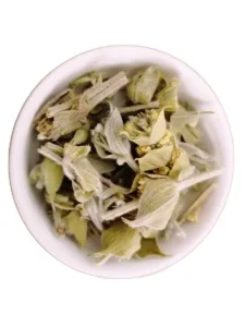 Sideritis Raeseri Bio Le Monopati n°1, Thé grec du Mont Parnasse