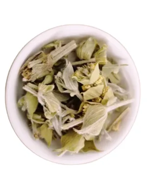 Sideritis Raeseri Bio Le Monopati n°1, Thé grec du Mont Parnasse