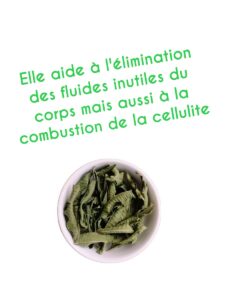 Verveine Citronelle Le Monopati photo 3