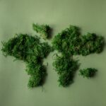 Notre Chemin : Des Racines au Succès, avec Engagement pour la Planète 19 emballage