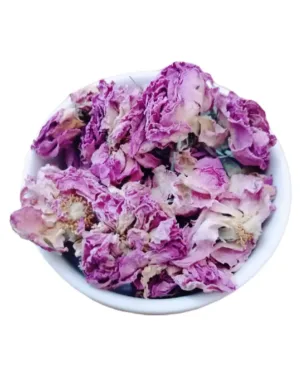 Bouton de Rose Le Monopati n°1