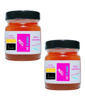 Miel de fleurs liquide 2 x 250g Qualité Le Monopati